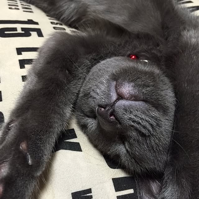 8717さんの実例写真