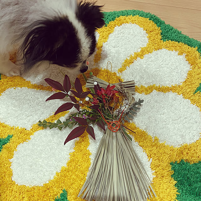 chan-homeさんの部屋