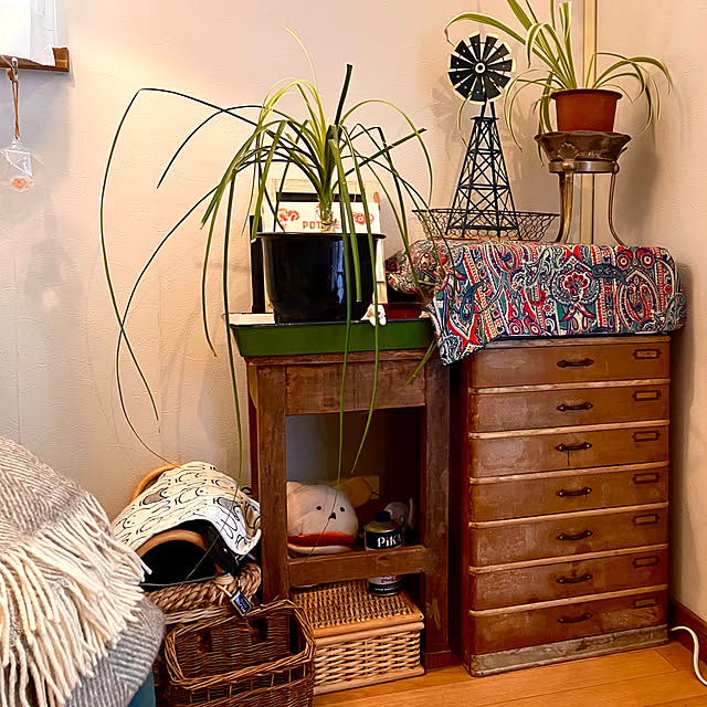 chikaさんの実例写真