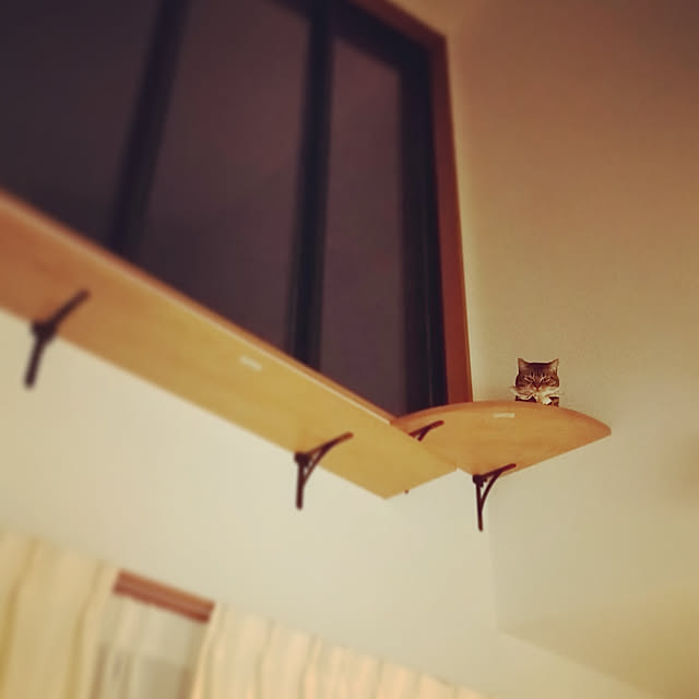 mochicoさんの実例写真