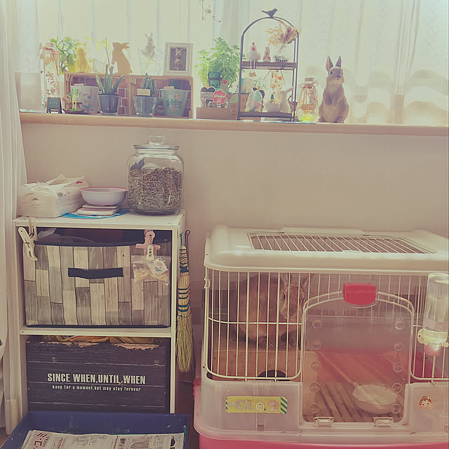 bellさんの実例写真