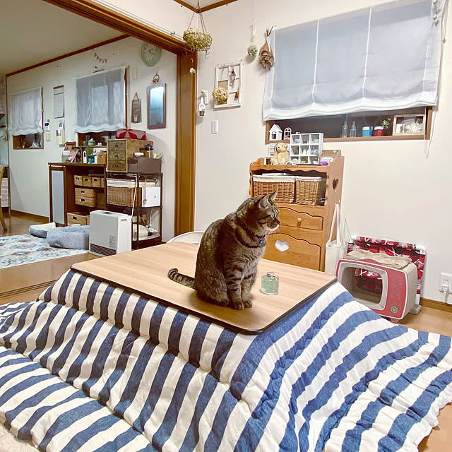 cocomaroさんの実例写真