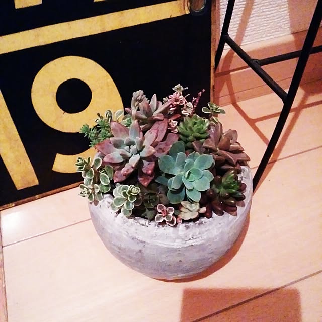 kotoさんの実例写真
