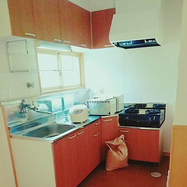 Risaさんの実例写真