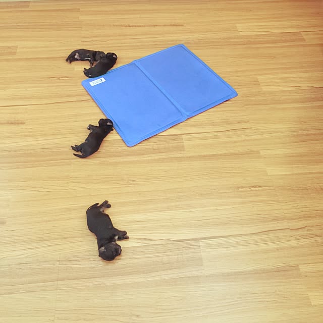 Thammaratさんの実例写真