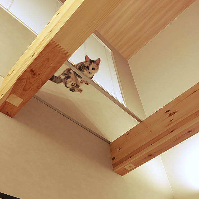 mikkumikuさんの実例写真