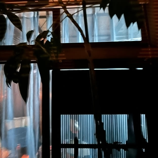 chacoさんの部屋