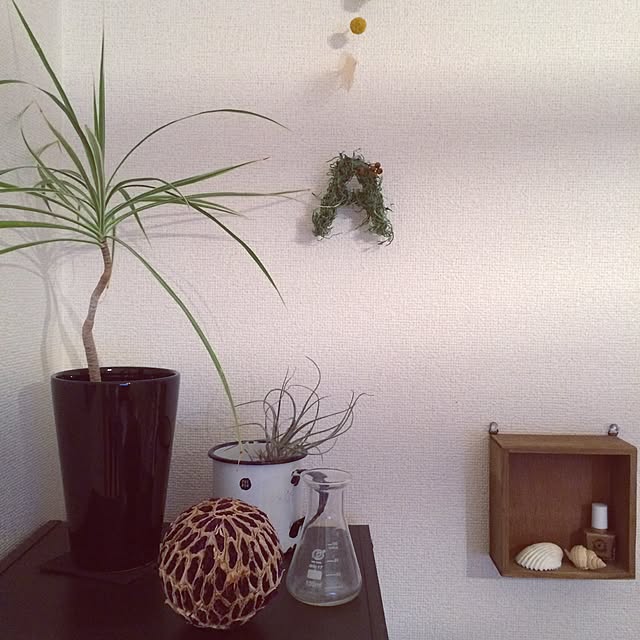 yu__homeさんの実例写真