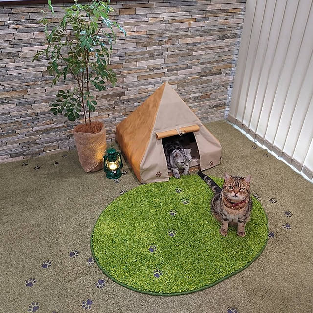 NANACOCOさんの実例写真