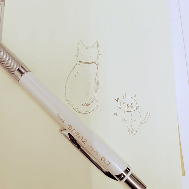 akimameさんの実例写真