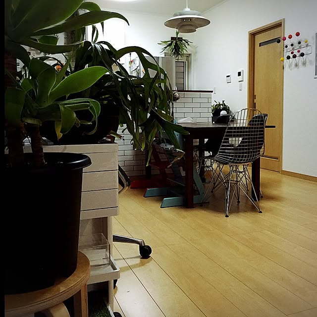 fukatoko55さんの実例写真