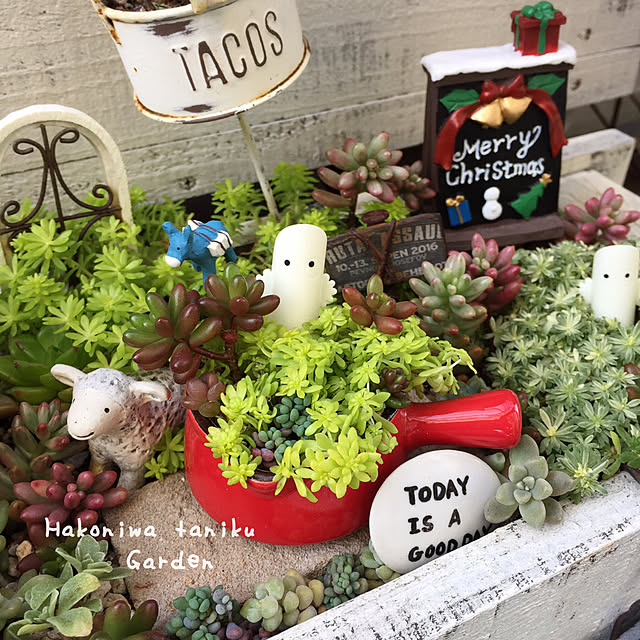 kurumichocoさんの実例写真