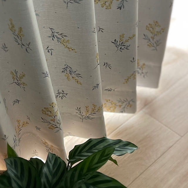 miechuraさんの部屋