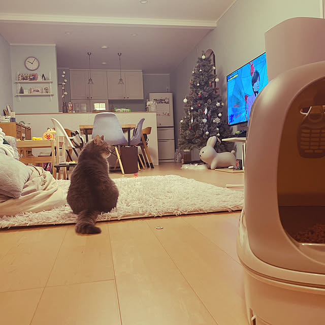 3chanさんの実例写真