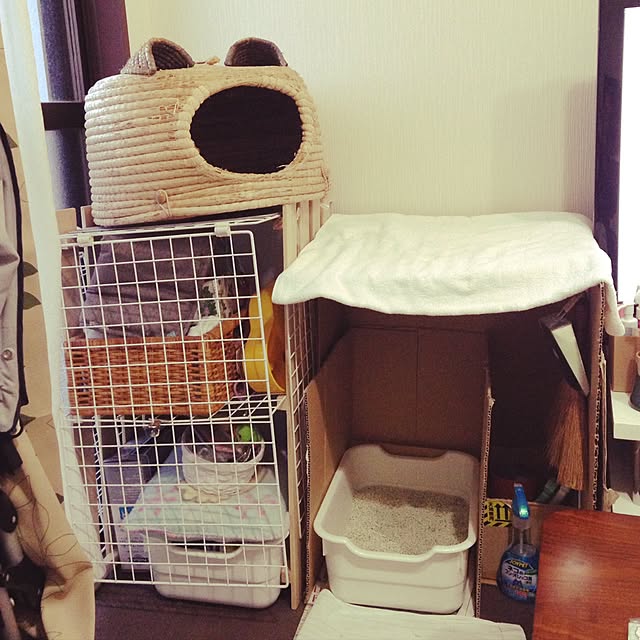 pipiさんの実例写真
