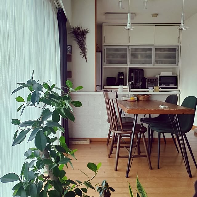yukaringomushiさんの実例写真