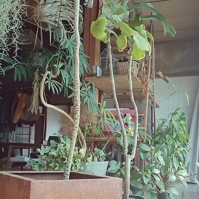 takenさんの実例写真