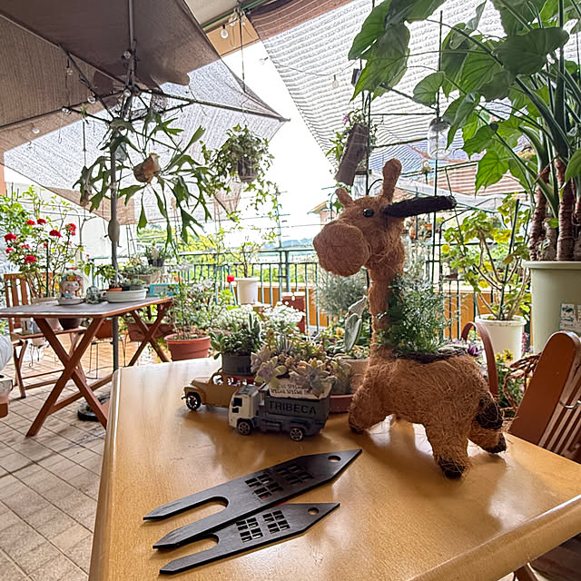 Aqettyさんの実例写真