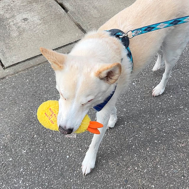 tanboさんの部屋