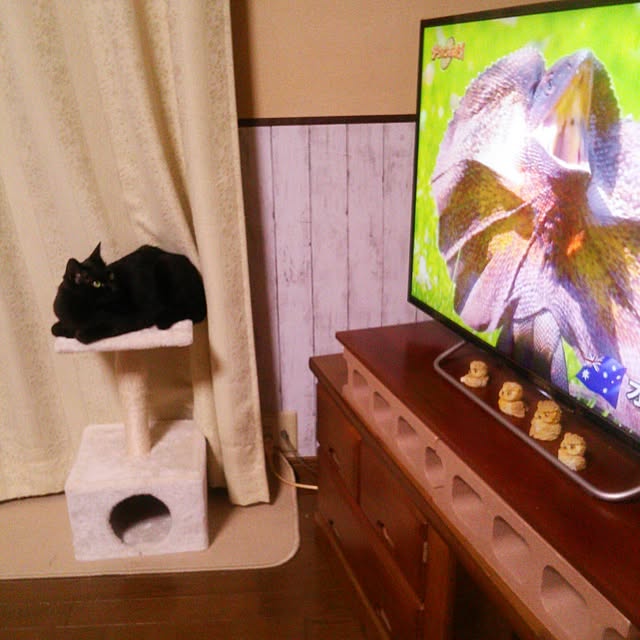 tomopさんの実例写真