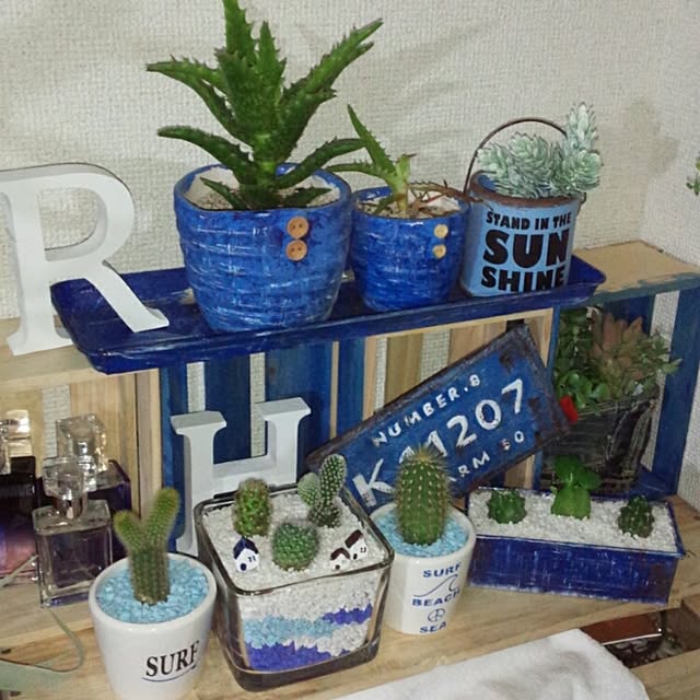 rk5kuuさんの実例写真