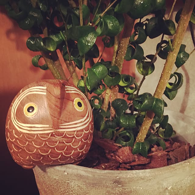 sugiyukuさんの実例写真