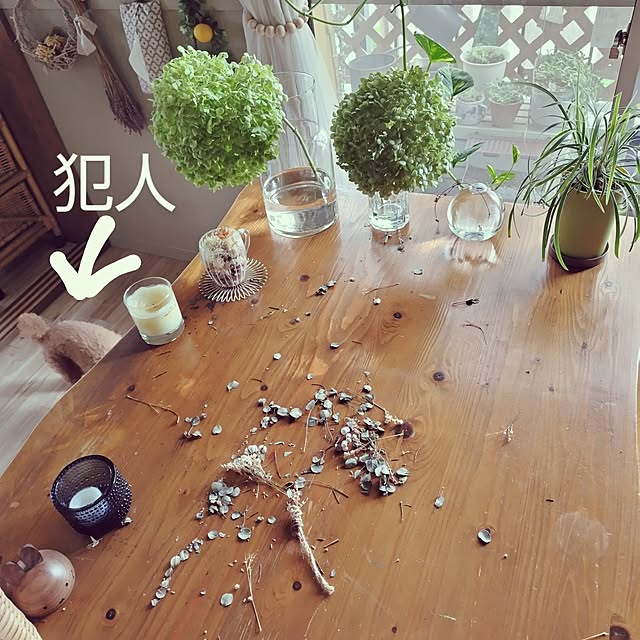 santamamaさんの部屋