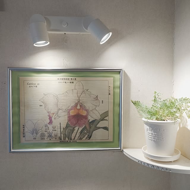 merirynさんの実例写真