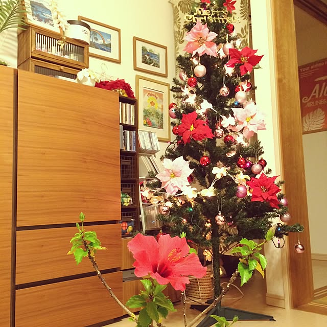 ulalauさんの実例写真