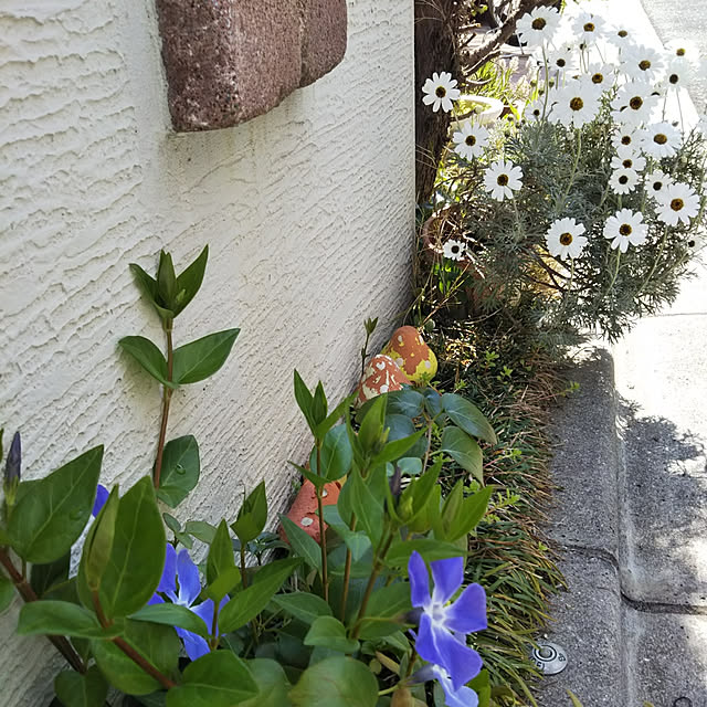 Marikoさんの実例写真