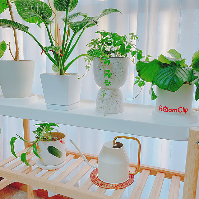 yuyuさんの部屋