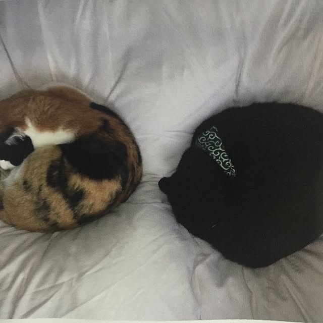 mtkさんの実例写真