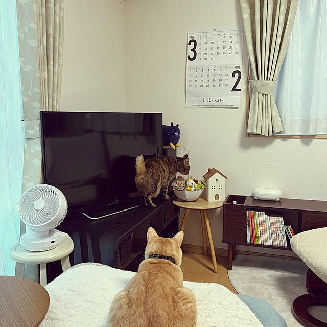 chiiさんの実例写真