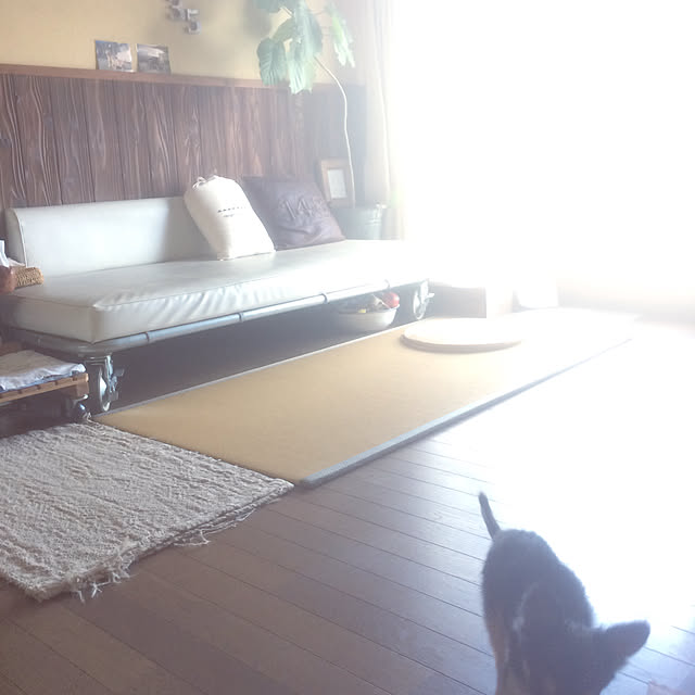88さんの実例写真
