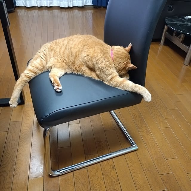 NOAHさんの部屋