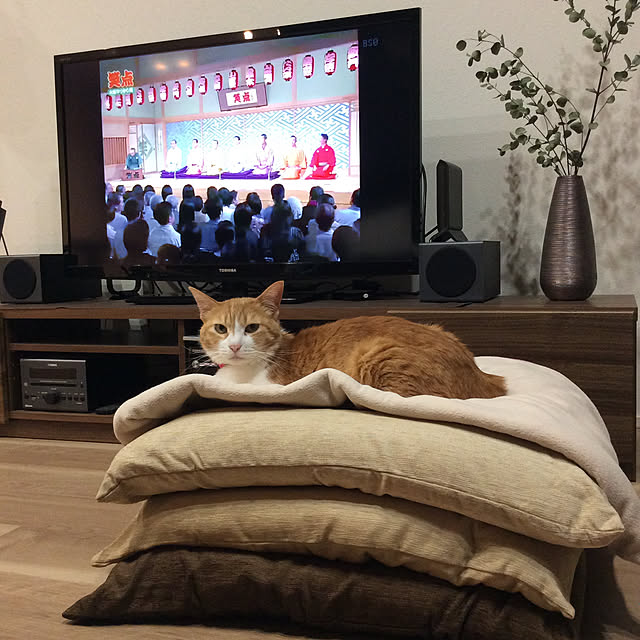 houenさんの実例写真