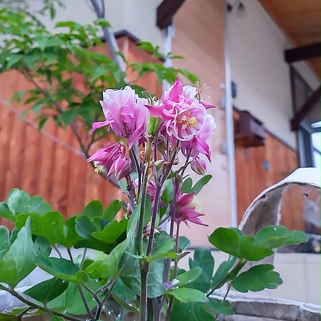 t.yumiさんの部屋