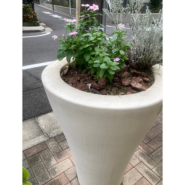 marukoさんの実例写真