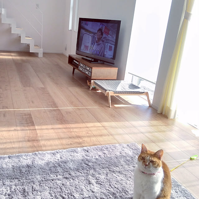 Yさんの実例写真