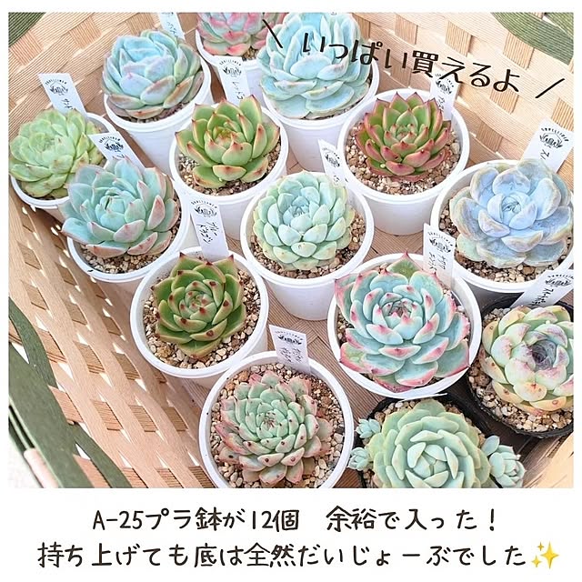 saichanさんの部屋