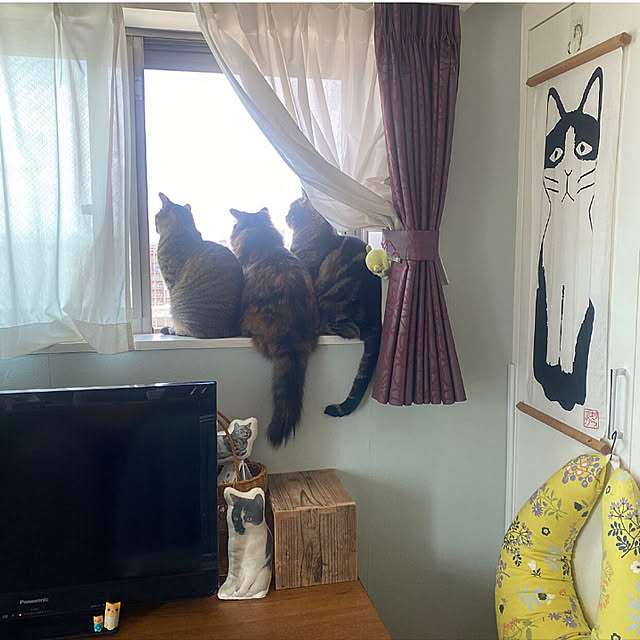 mikomaruさんの実例写真