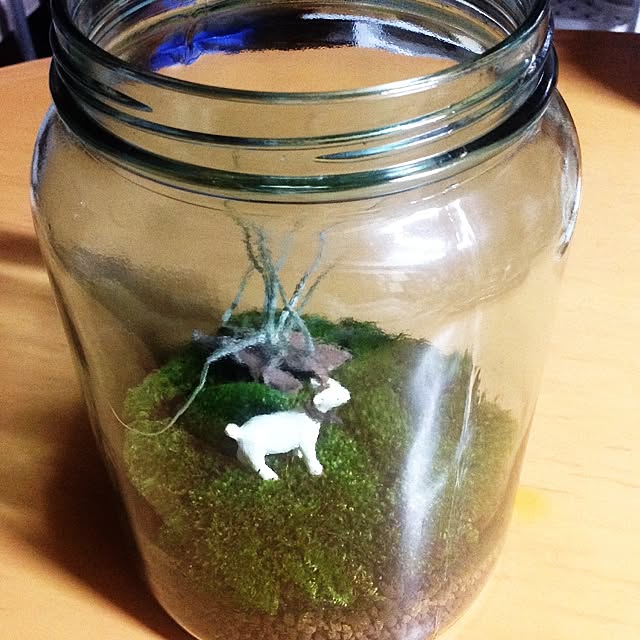 tarohagiharaさんの実例写真
