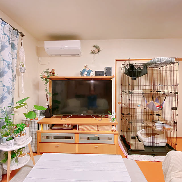 moolさんの実例写真