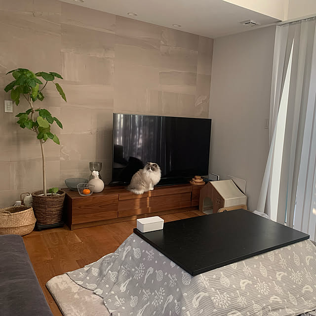こたつのある部屋/新生活/IKEA/雑貨/カフェ風...などのインテリア実例 - 2023-02-09 15:49:48