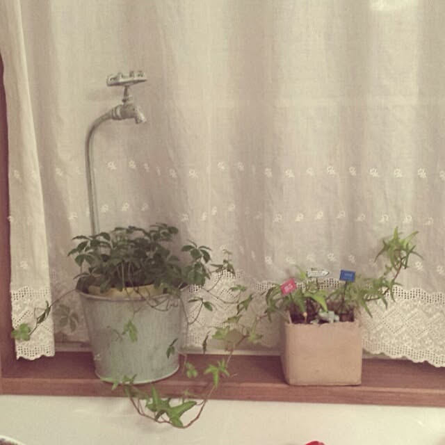 askさんの実例写真