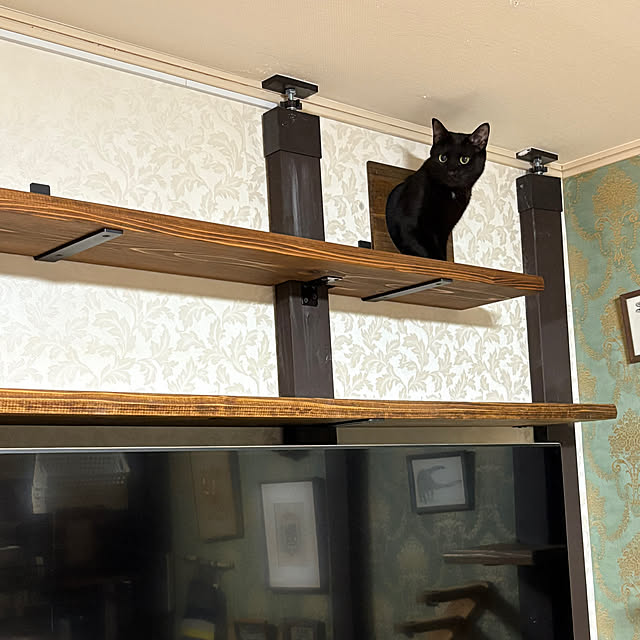 Tetsuyaさんの部屋