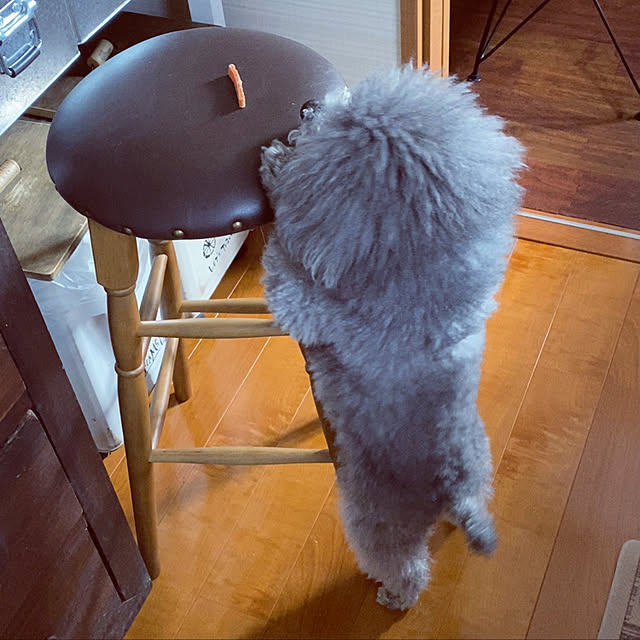meguko.ryanさんの実例写真