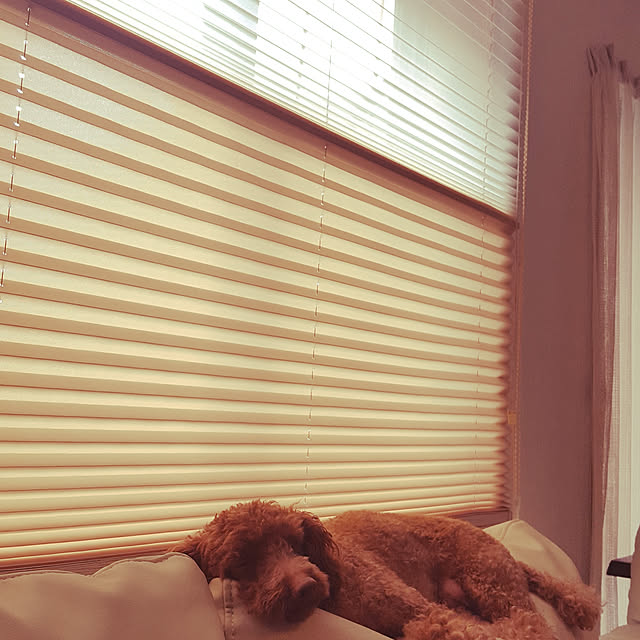 kuroさんの実例写真