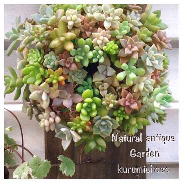 kurumichocoさんの実例写真