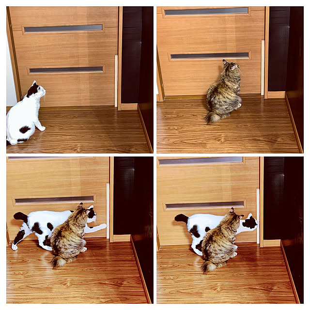 kikurinさんの部屋